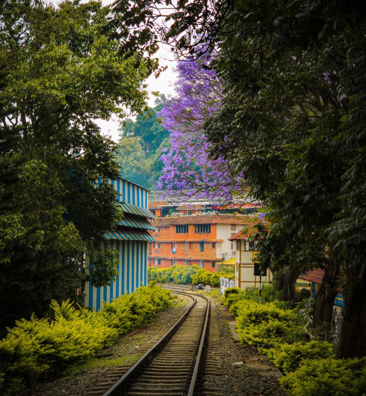 South India travel guide